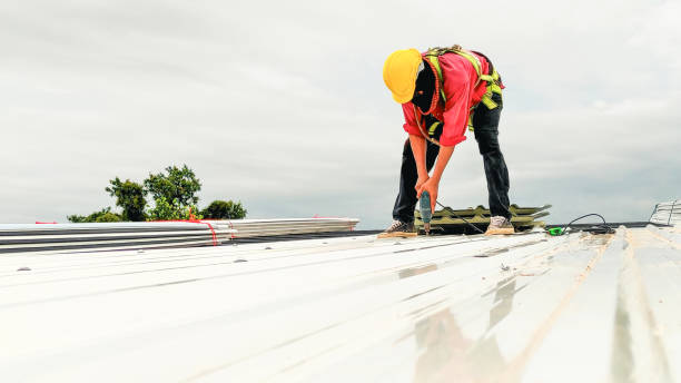 Best Metal Roofing Installation  in Loris, SC