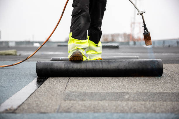 Best Roof Maintenance and Cleaning  in Loris, SC
